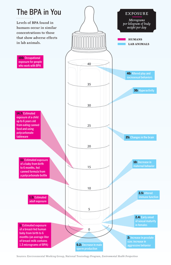 The BPA In You | Health and safety, Body, Infographic