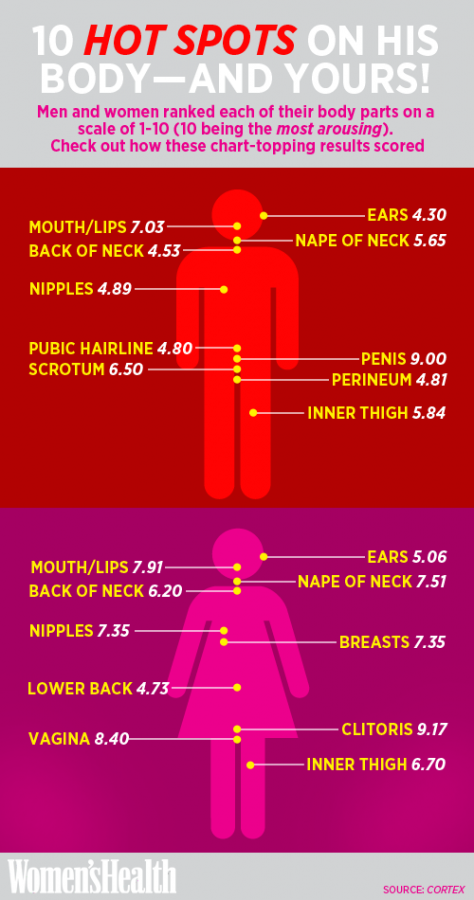 Zones Of The Male Sexual Excitement Curve And An Exam - vrogue.co