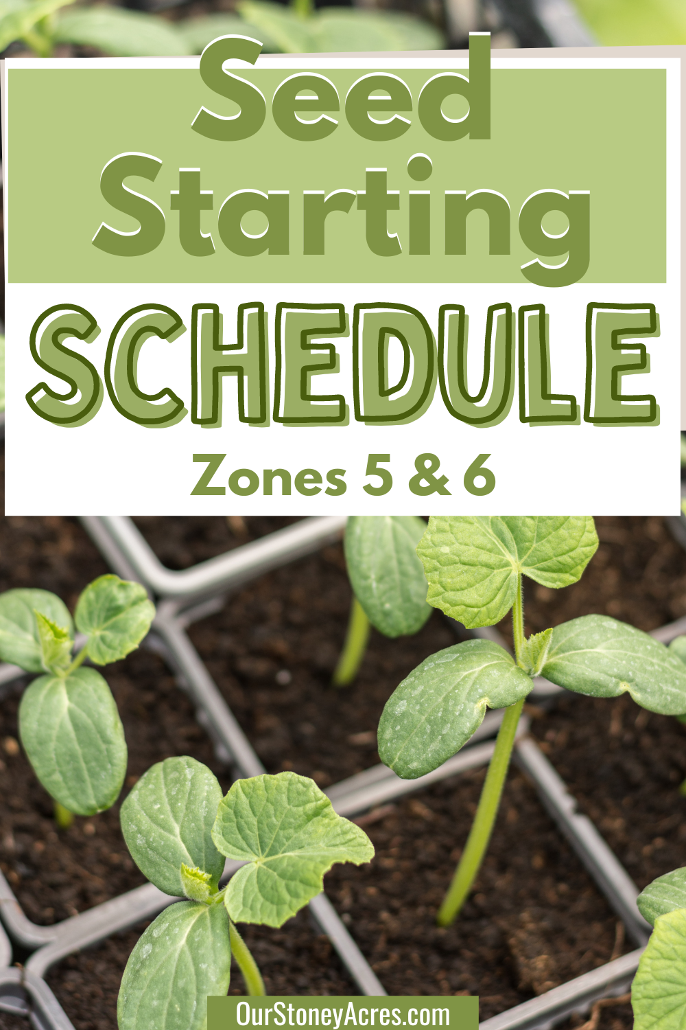 Seed Starting Schedule for Zones 5 & 6