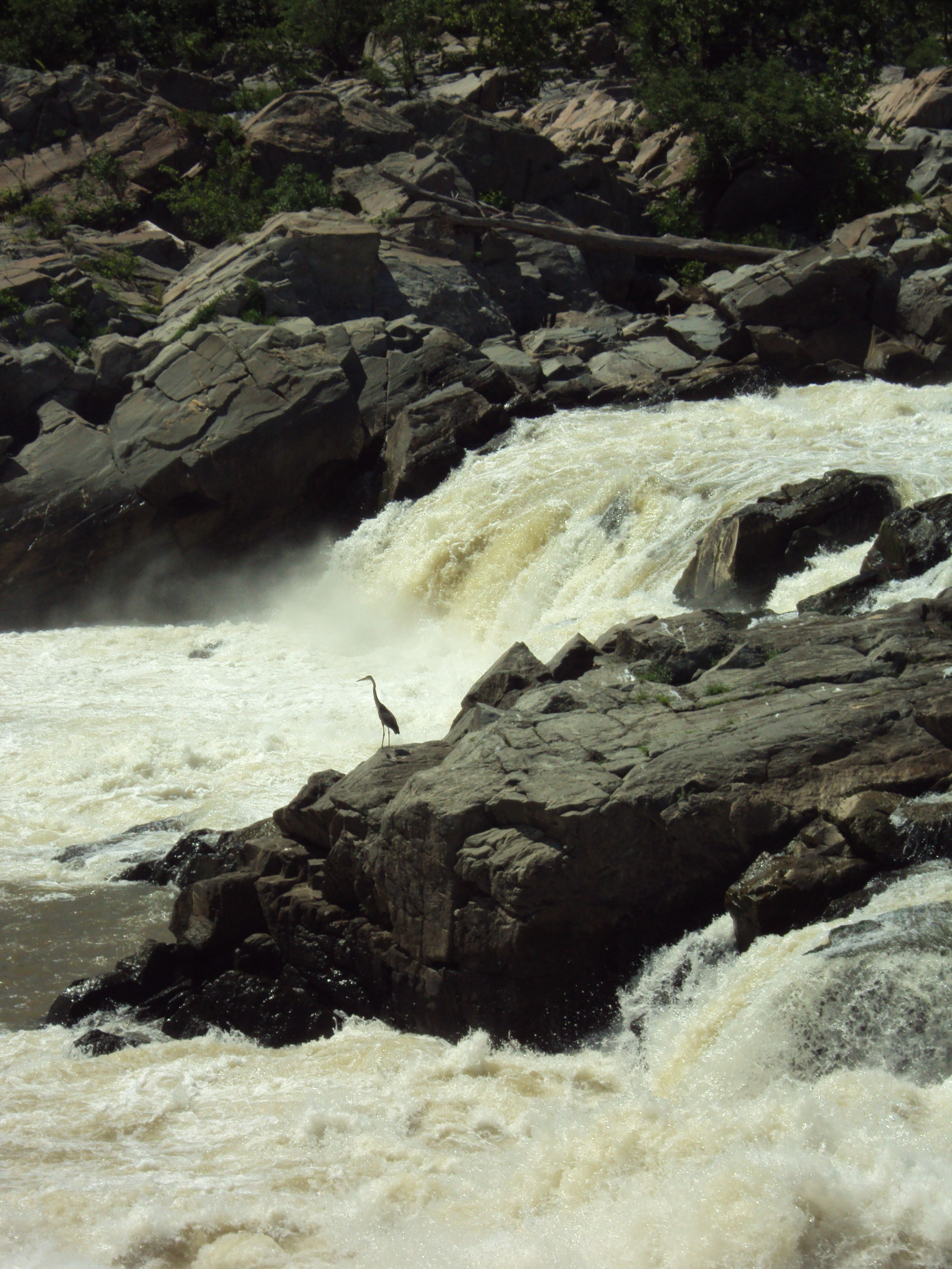 Potomac River