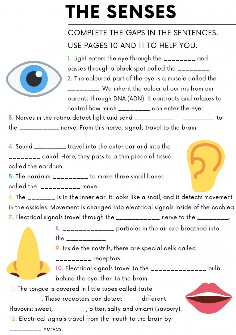 five-senses-online-worksheet-for-5-6-you-can-do-the-exercises-online