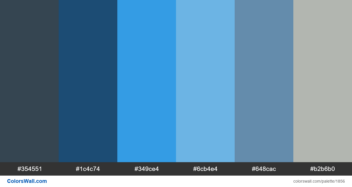 Blue Dashboard Application colors palette. HEX colors #354551, #1c4c74 ...