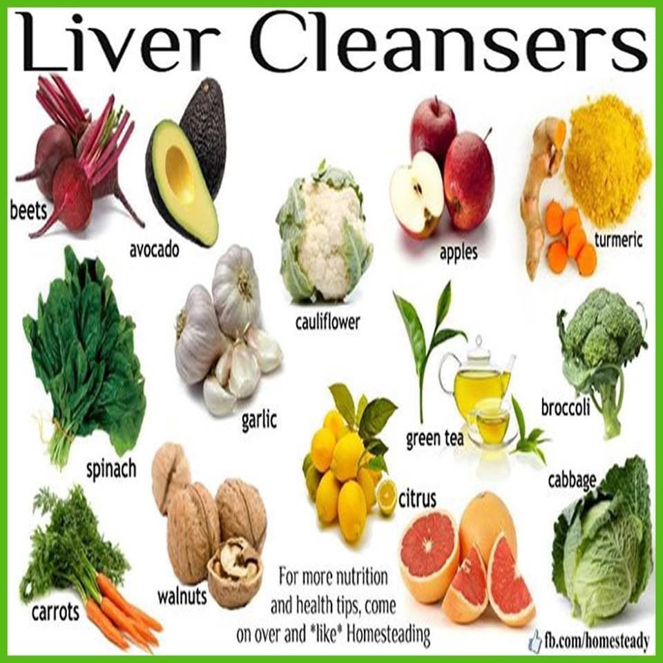 Eating Liver For Liver Health at Ruth Langdon blog