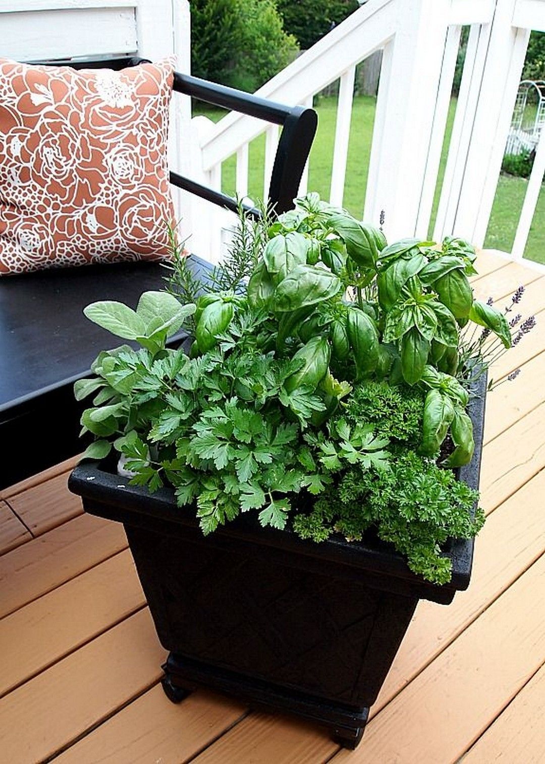 26 Herbs That Grow Together In a Pot Container herb garden, Herb