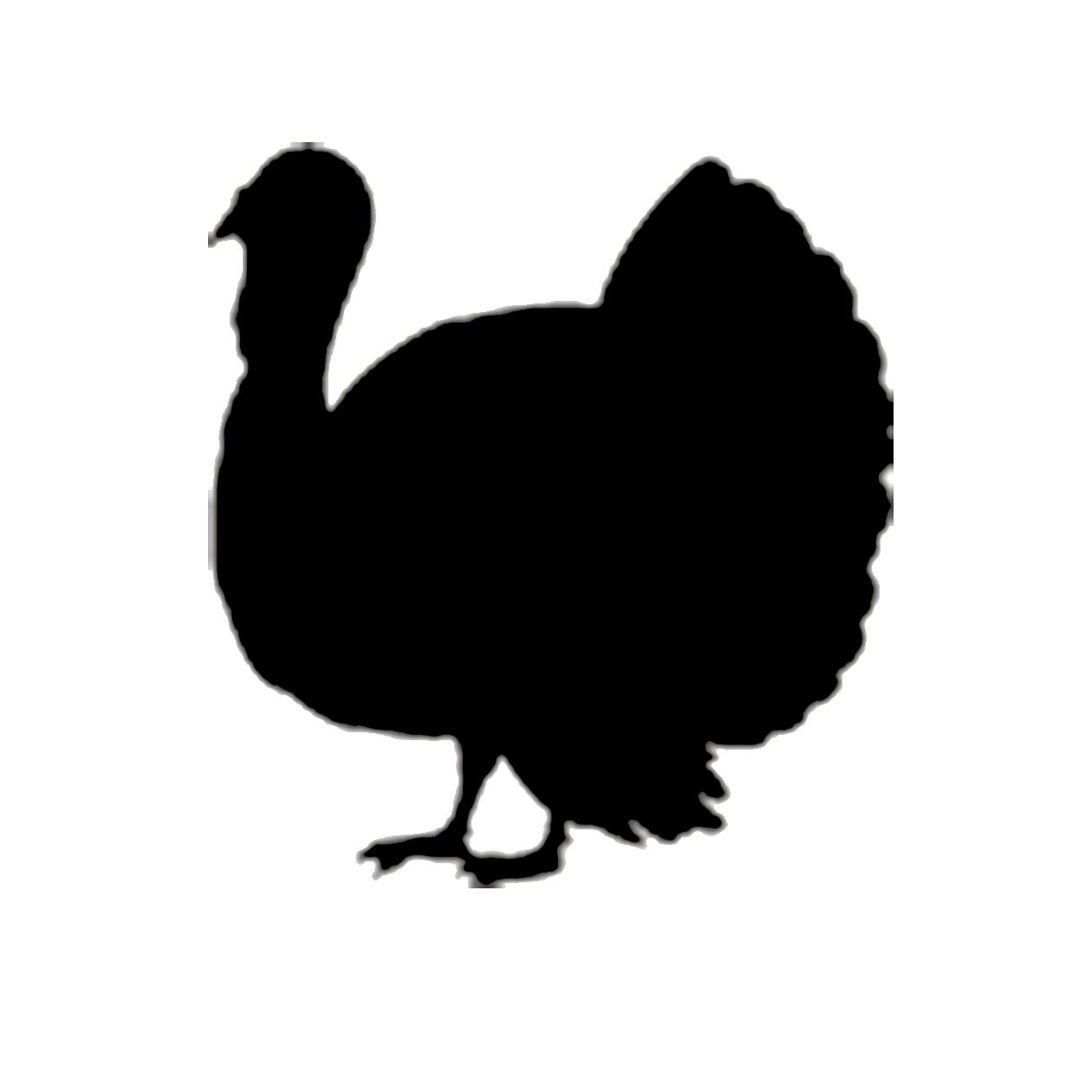 Turkey Clipart Svg 553 Svg File Cut Cricut Free Svg C - vrogue.co