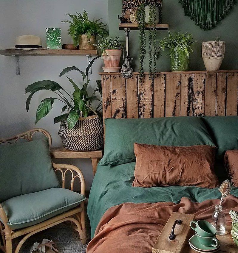 Pin on Indoor Plants Decor