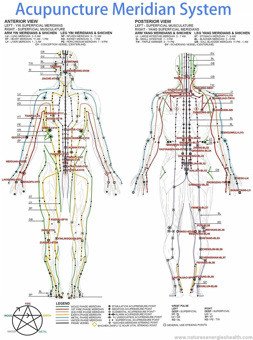 Printable Full Body Acupressure Points Chart Pdf