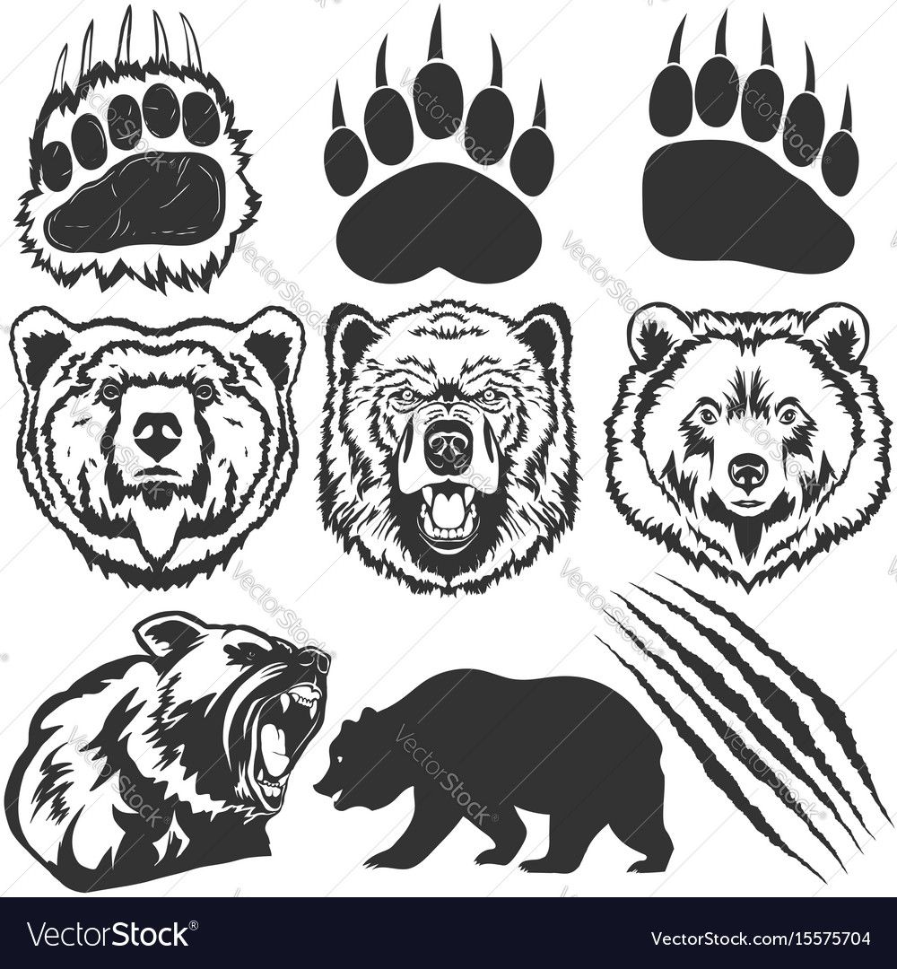 Grizzly Paw SVG