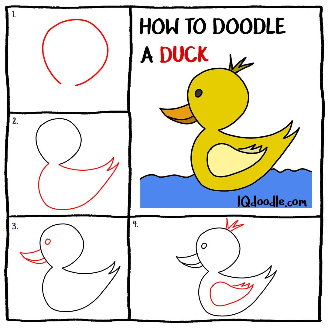 How to Doodle a Duck - IQ Doodle School | Toddler drawing, Doodles, Duck