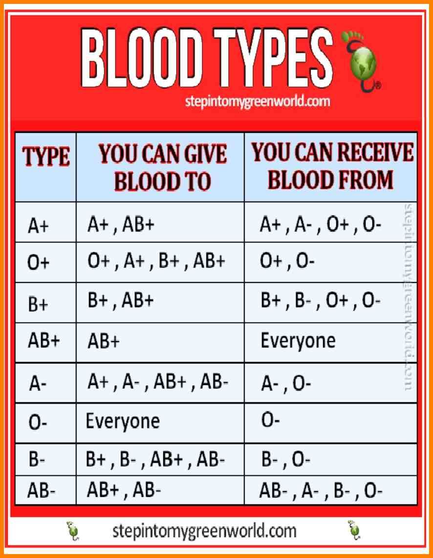 Blood Type O Chart