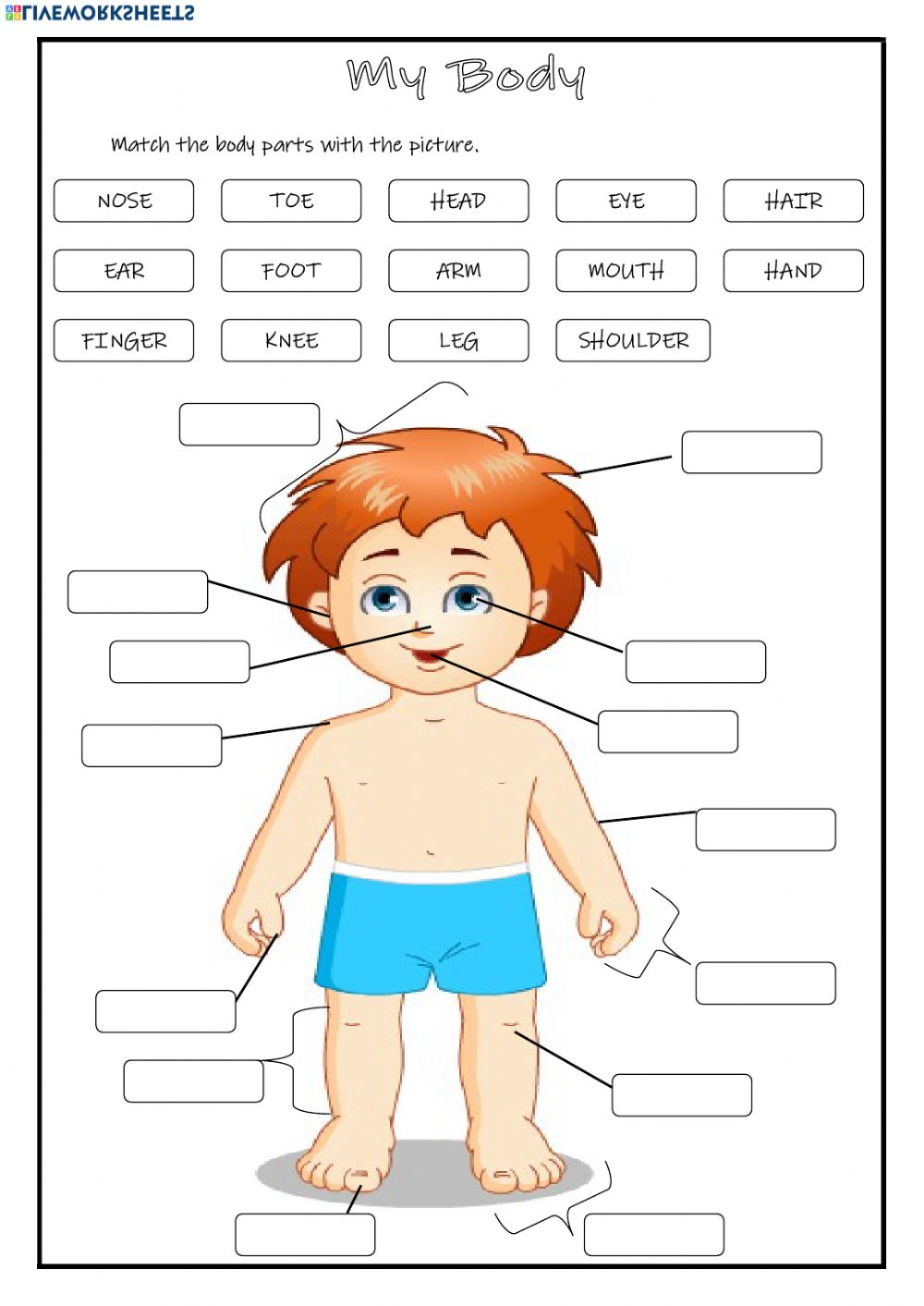 Parts Of The Body Worksheets For Grade 2