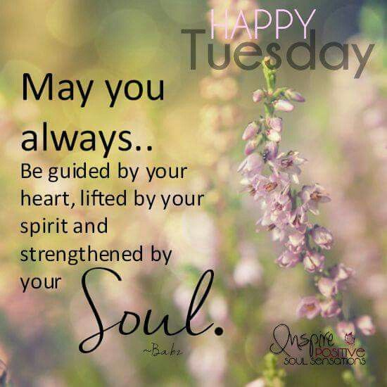 Happy Tuesday … | Happy tuesday quotes, Tuesday quotes, Tuesday quotes ...