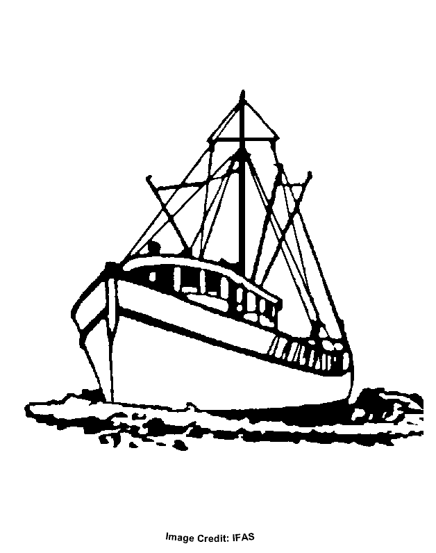 a black and white drawing of a boat