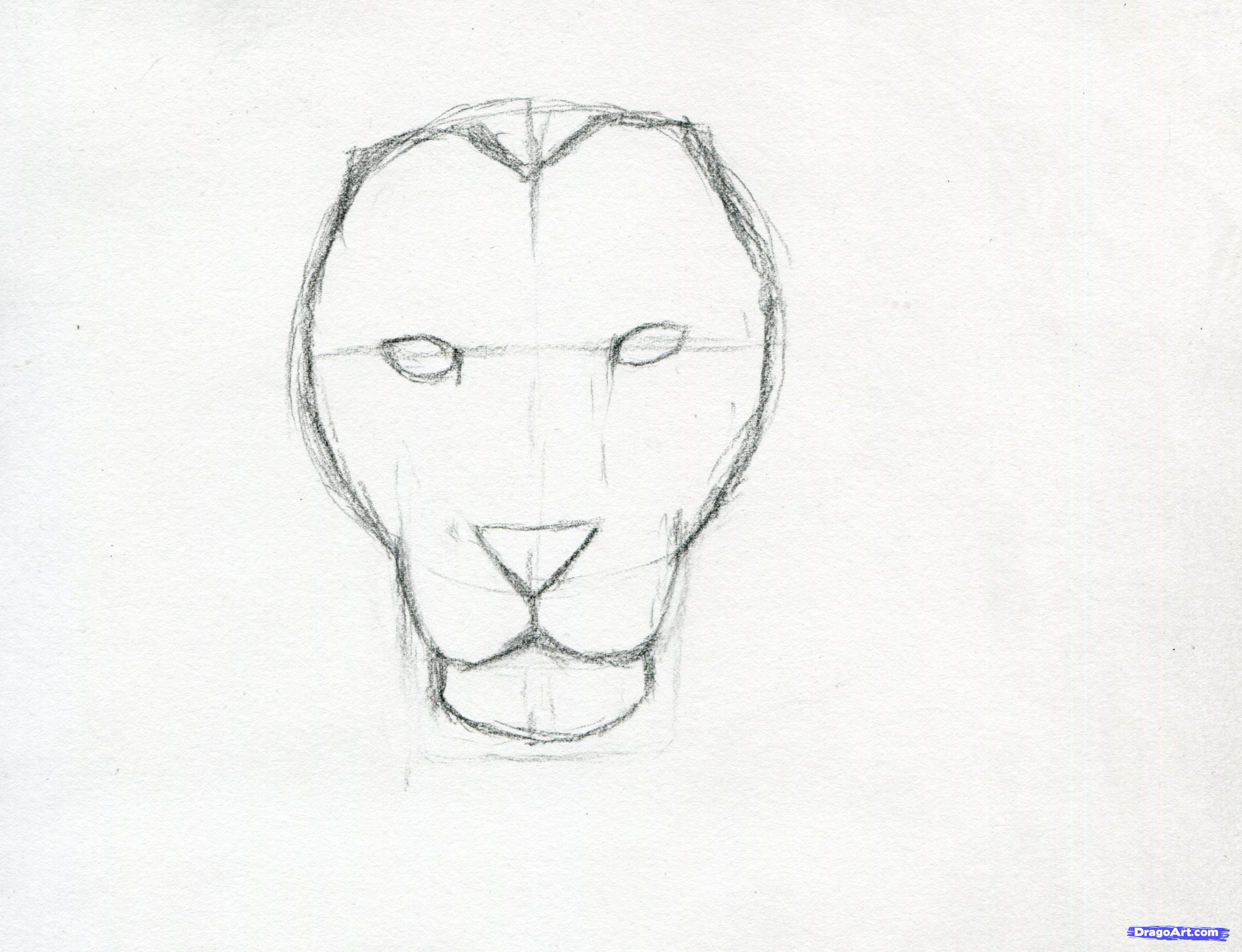 Más de 25 ideas increíbles sobre Lion face drawing en Pinterest