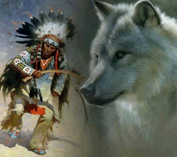 Native American Dancer & Wolf | Native american wolf, Native american ...