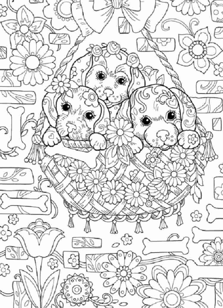 38+ Popular coloring pages for toddlers info