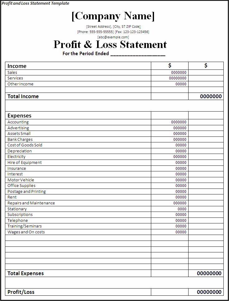 Profit Loss Statement Form