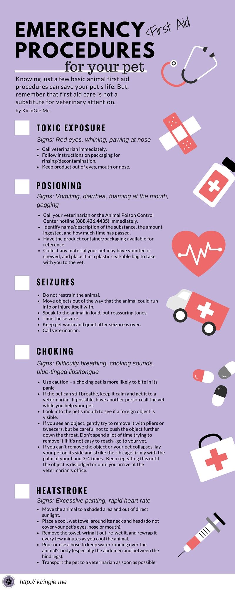 Emergency Pet First Aid Infographic Dog Health Tips, Pet Health, Dog ...