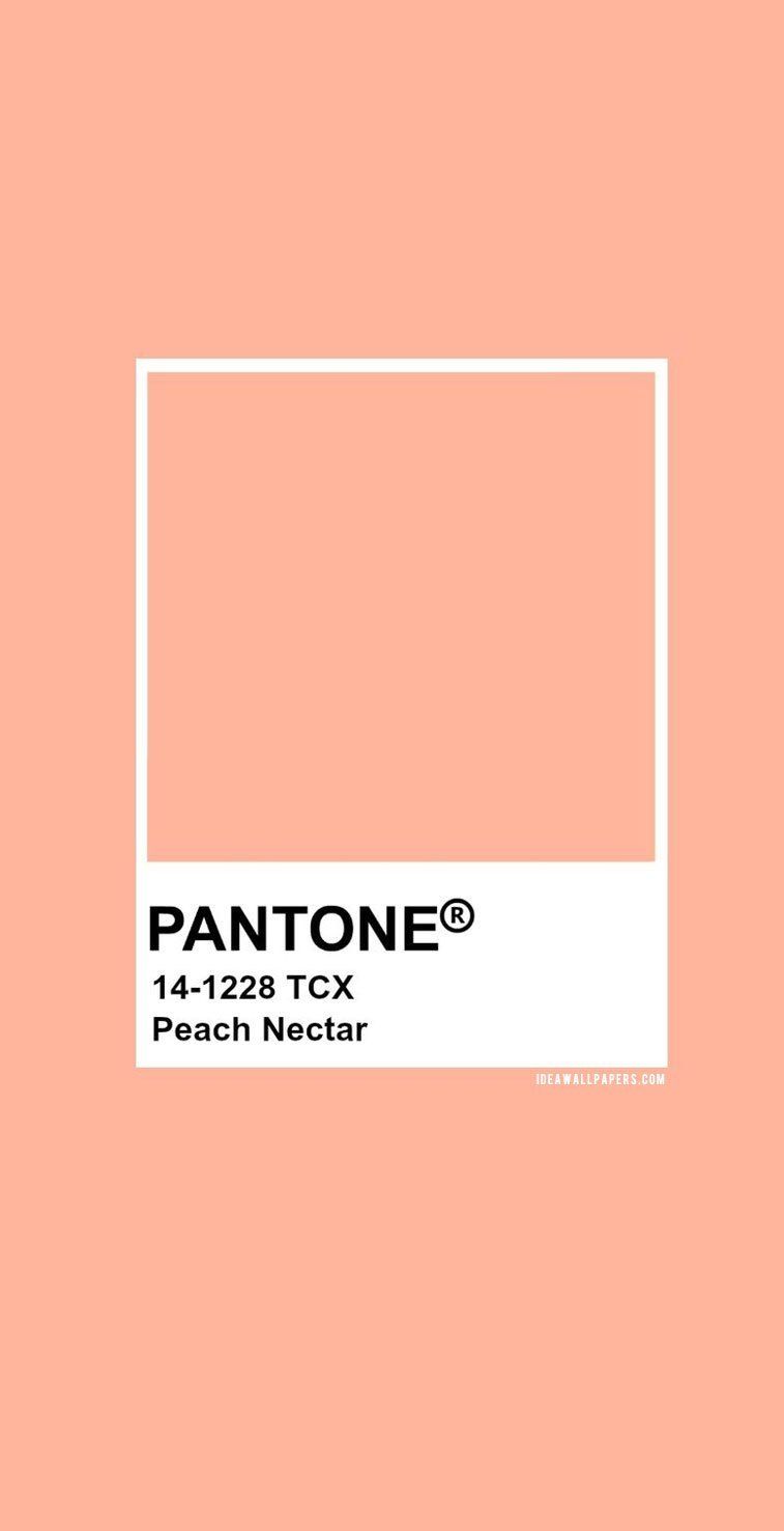 Pantone Peach Nectar : Pantone 14-1228 #color #pantone | Peach ...