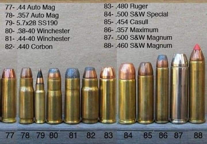 5 pictures that will help you explain the difference between bullet ...