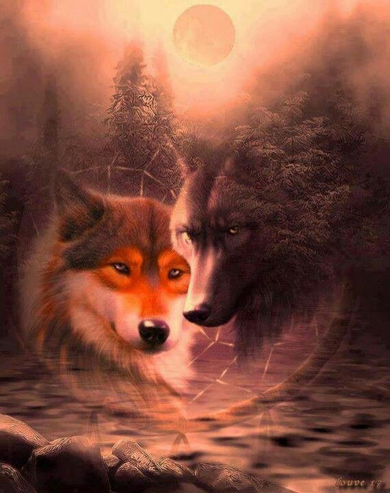 Wolves wolf | Wolf spirit, Wolf pictures, Wolf spirit animal