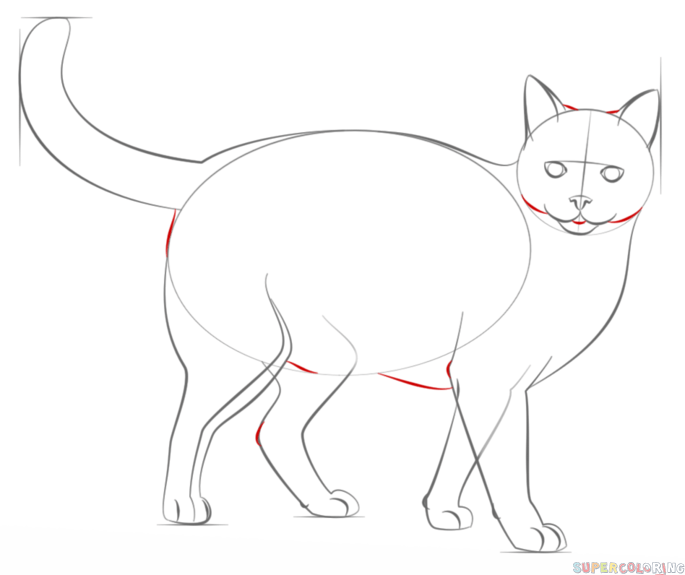 How to draw a Realistic Cat step by step. Drawing tutorials for kids ...