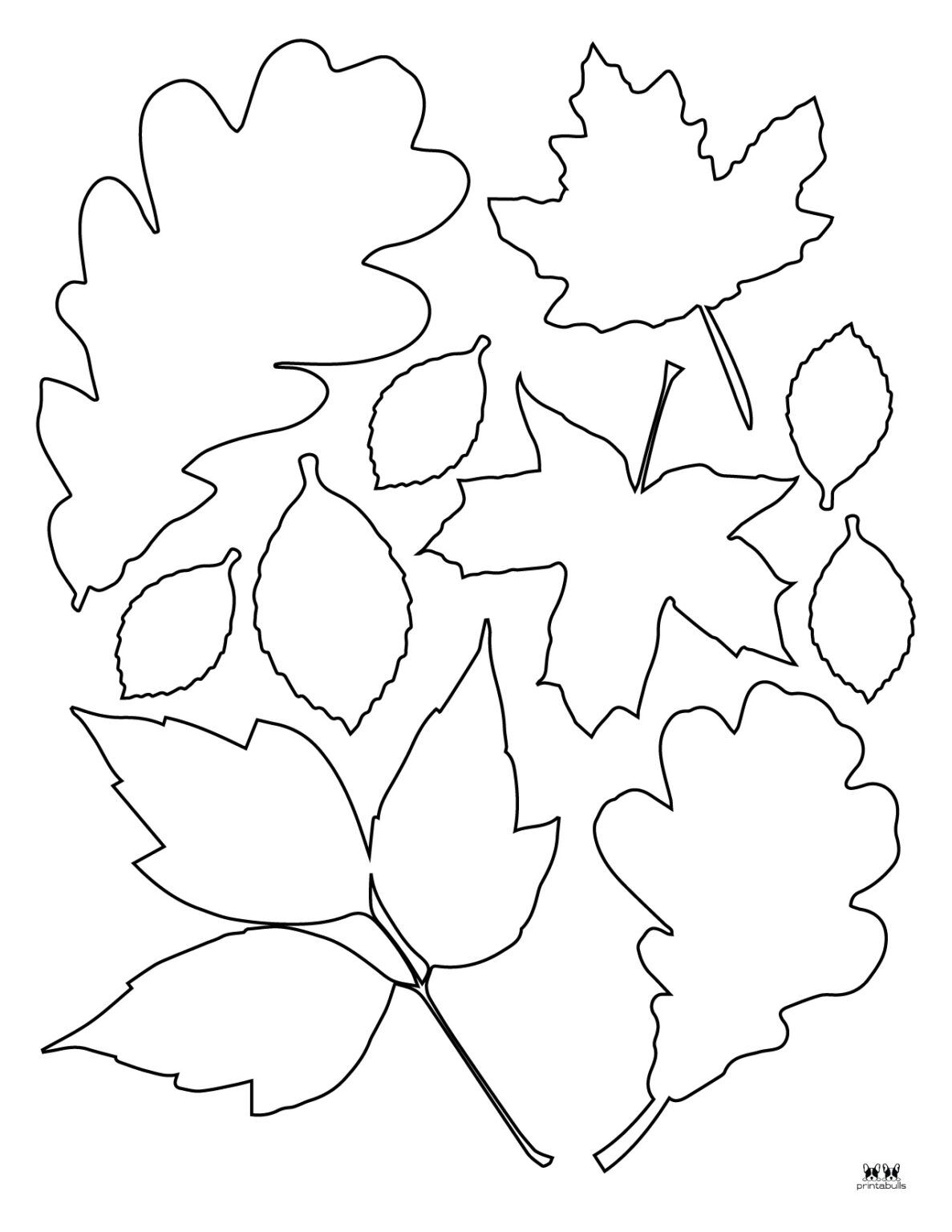 Leaf Outlines, Templates & Coloring Pages - 55 FREE Pages | Printabulls ...