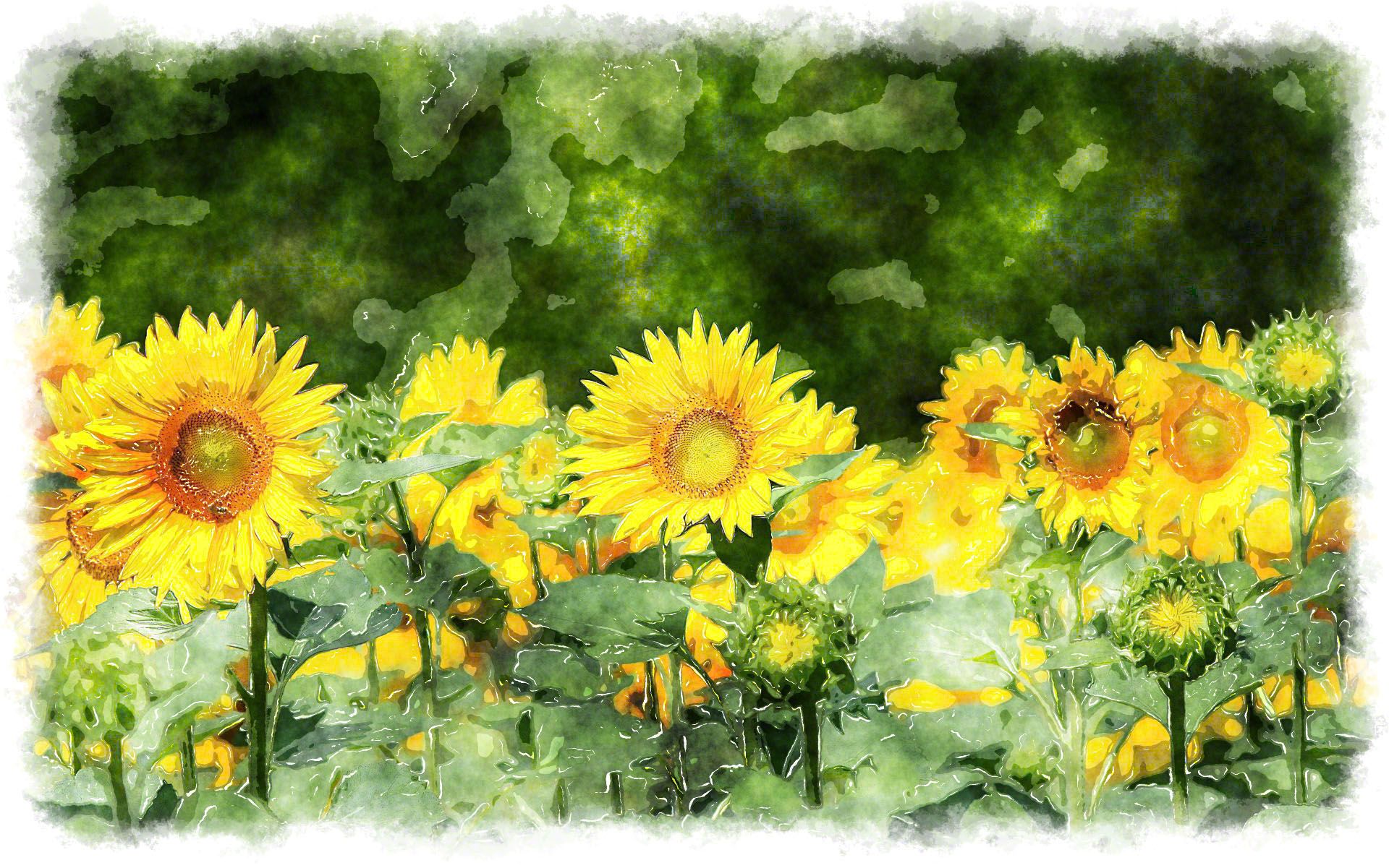 sunflower paintings | Sunflower painting, Sunflower watercolor painting ...