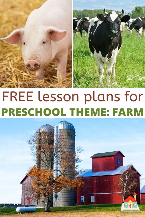 Farm Preschool Activities Lesson Plans Preschool Social Studies Lesson Plans For Toddlers 