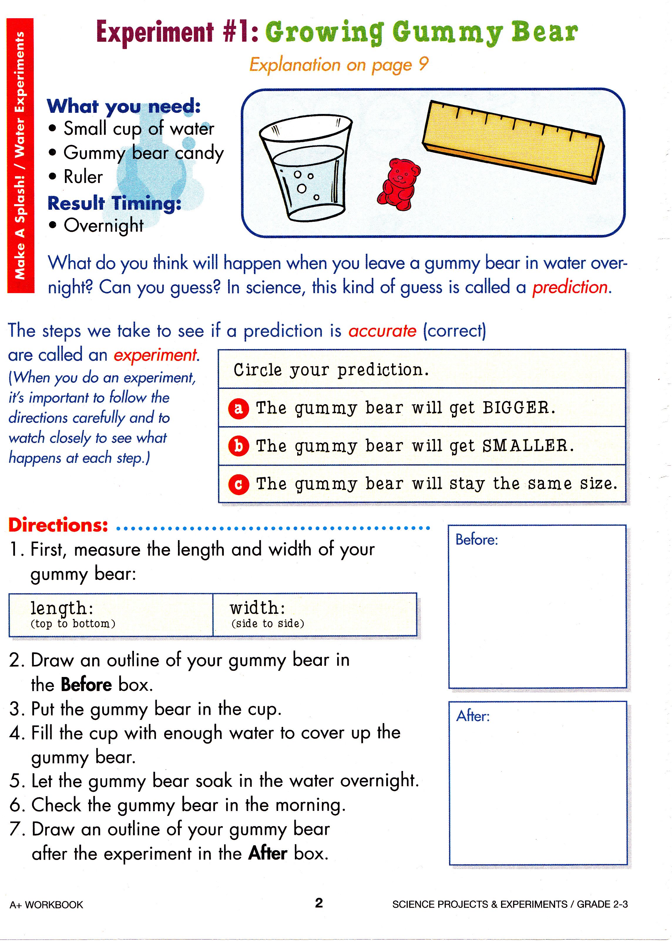 Printable Worksheets For 3rd Grade Science