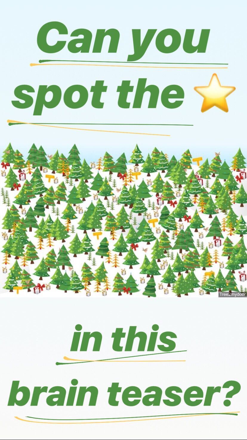 8 Best Images Of Christmas Brain Teasers Printable Printable Christmas ...