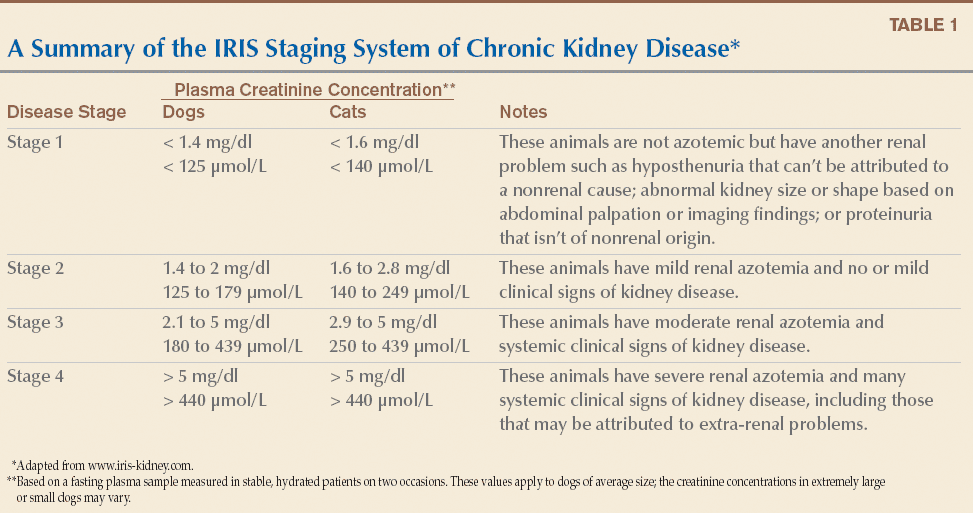 11 guidelines for conservatively treating chronic kidney disease