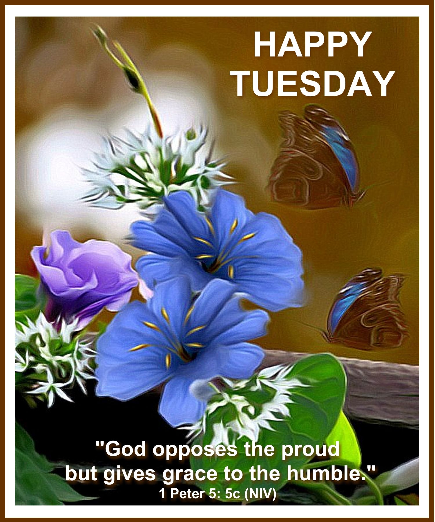 Tuesday Good Morning Wishes Latest