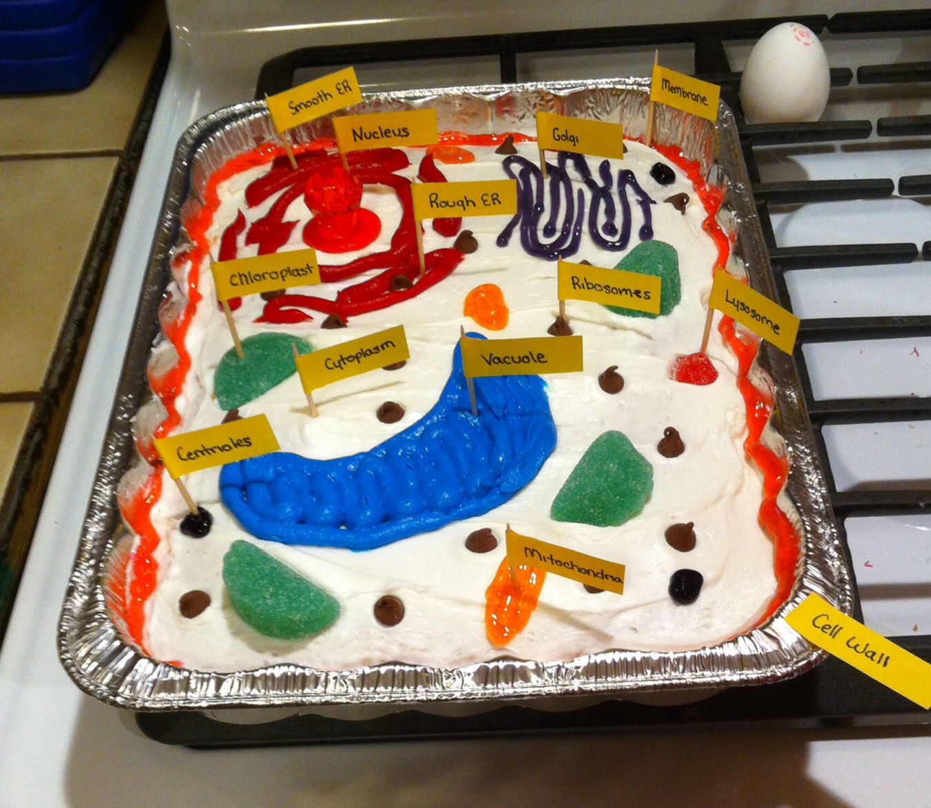 Good idea for an edible plant cell project..js. Plant Cells Project ...