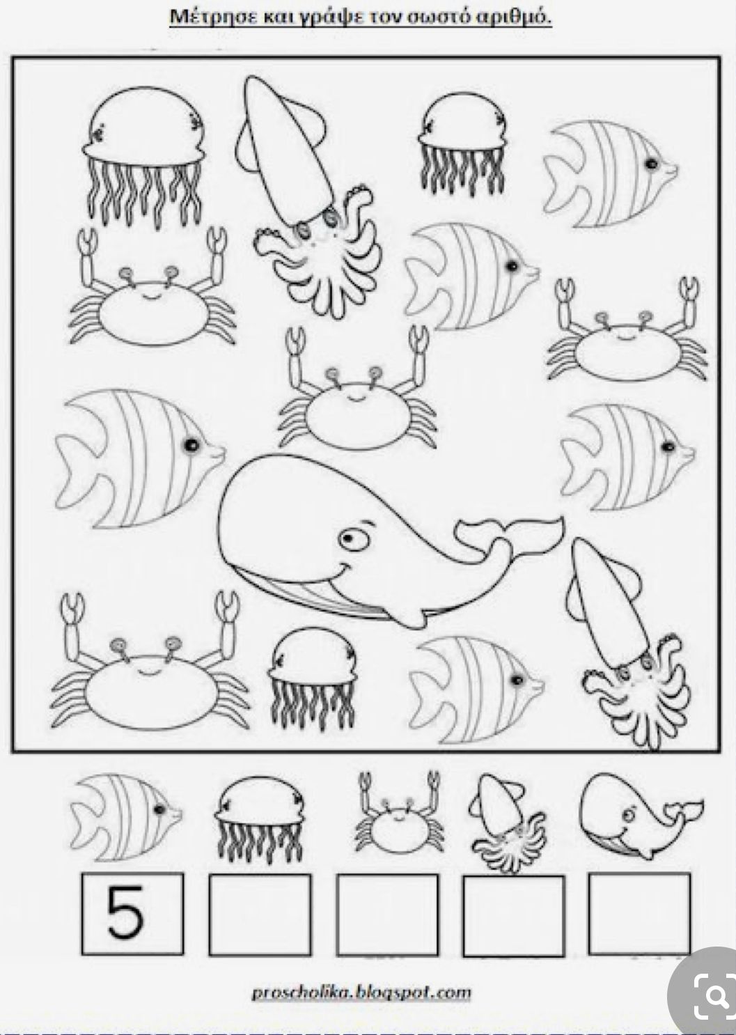 Pin by Nora Ramirez on Sea Creatures | Math activities preschool, Kids ...