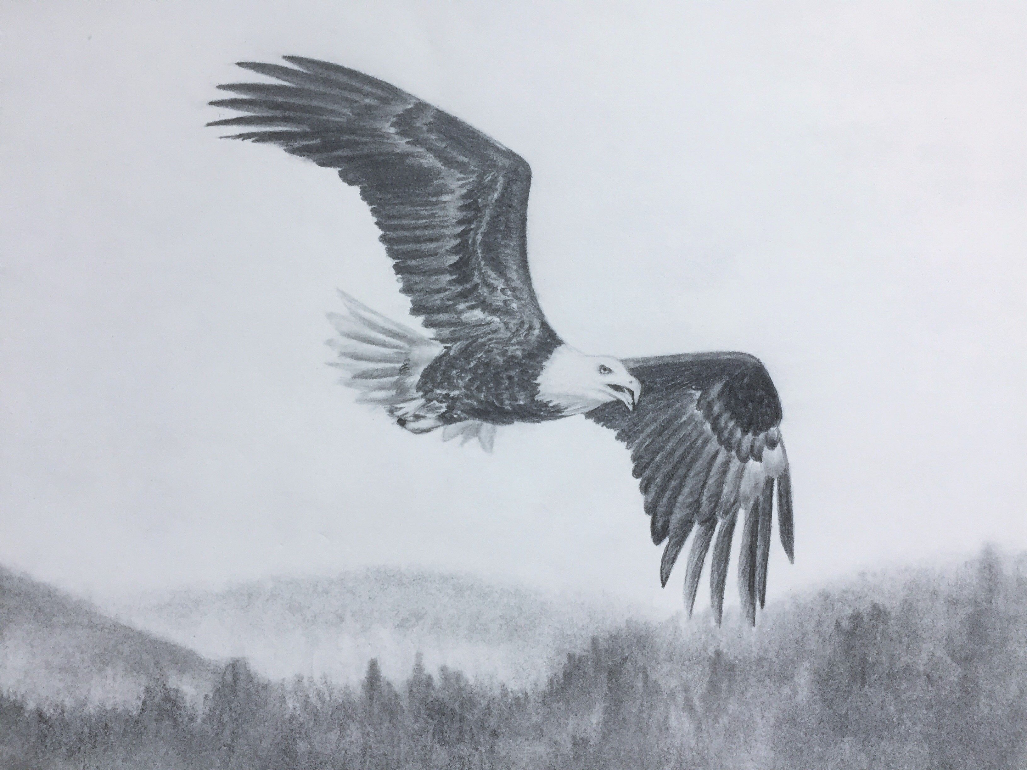 Drawing Of A Flying Eagle