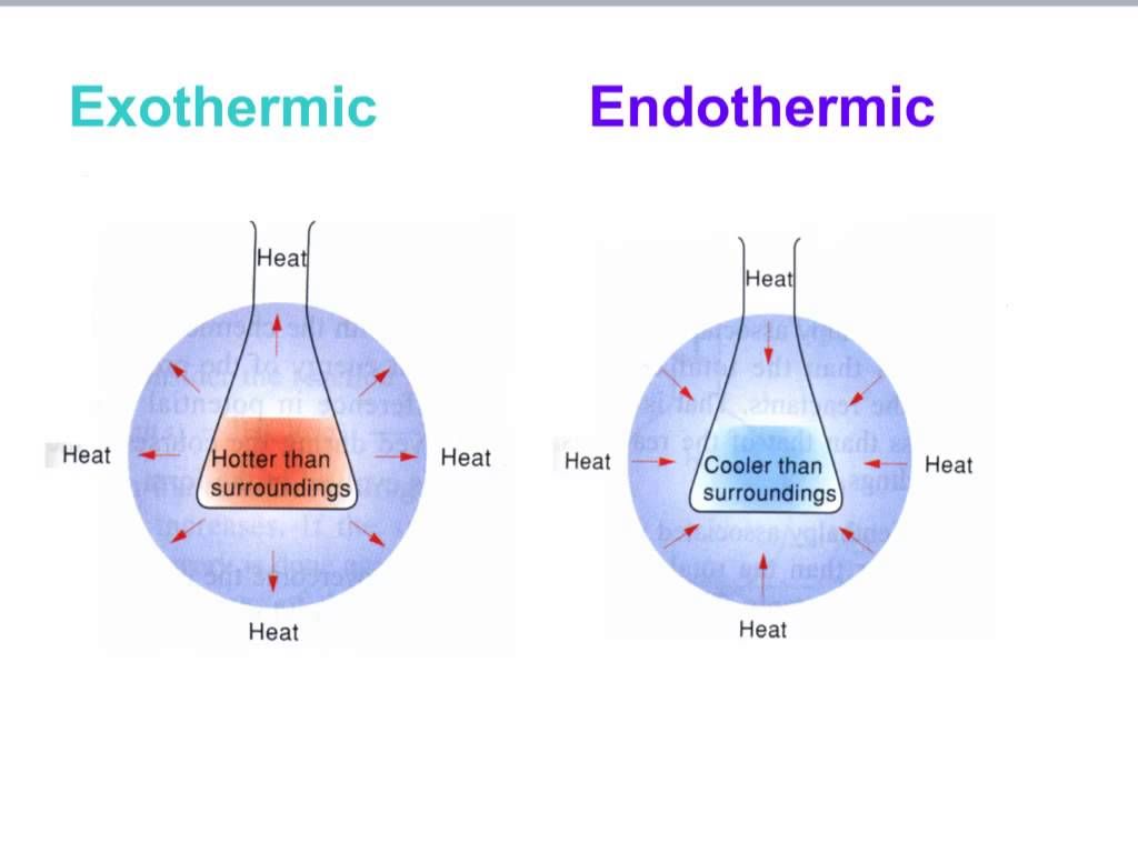 During An Exothermic Process