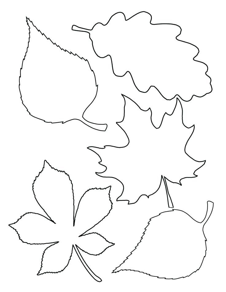 leaf stencils printable fall leaves templates printable best leaf ...