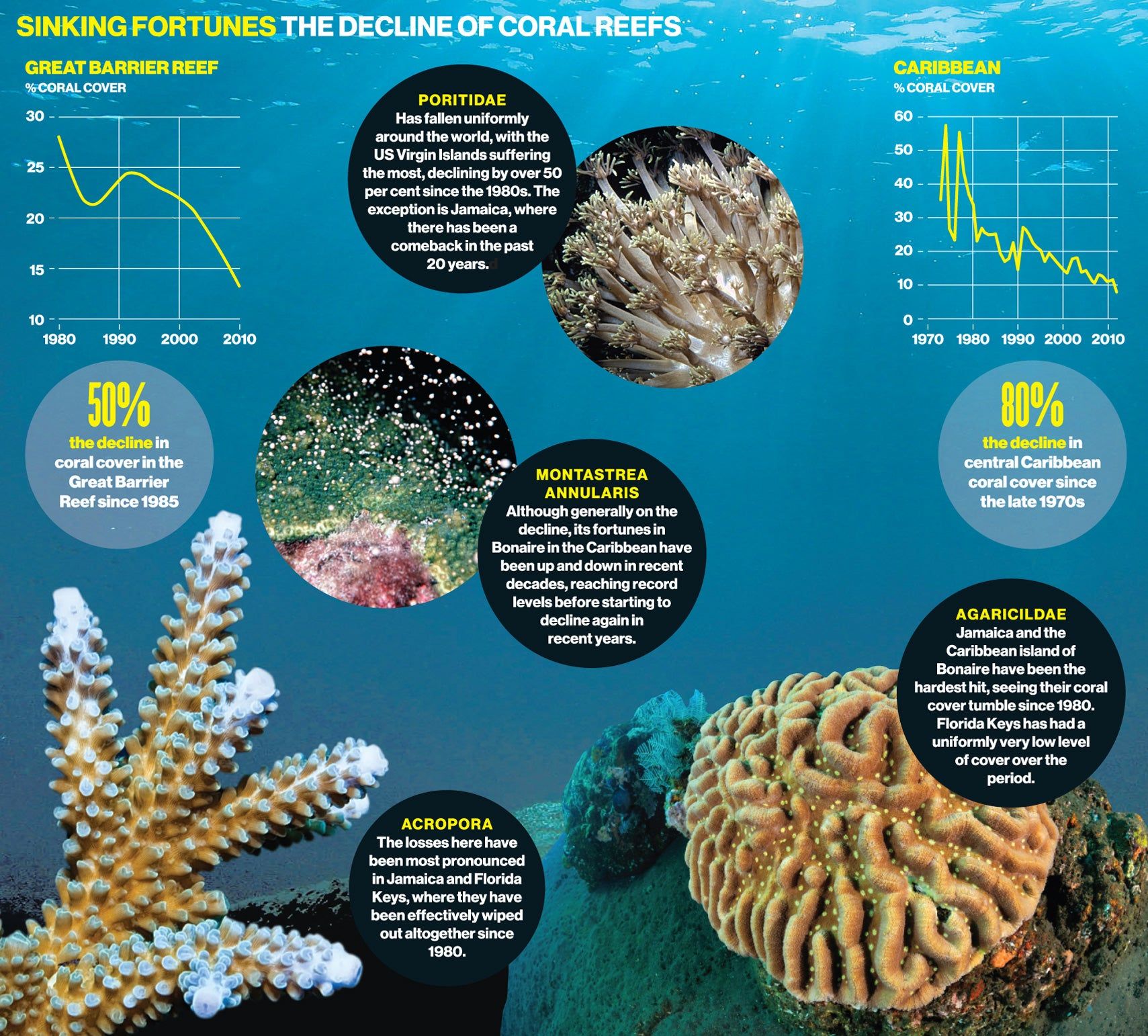 Global Warming Project, Ocean Acidification, Marine Biology ...