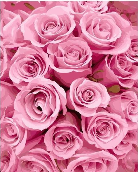 DIY Painting By Numbers - Pink Rose (16