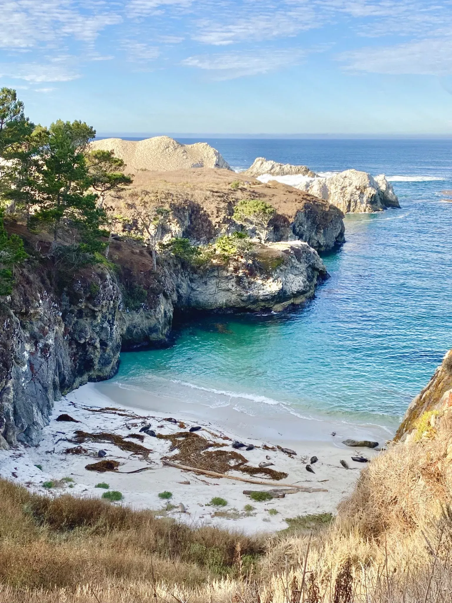 Big Sur Road Trip: 2-Day Itinerary Of The 23 Best Things To Do In Big ...