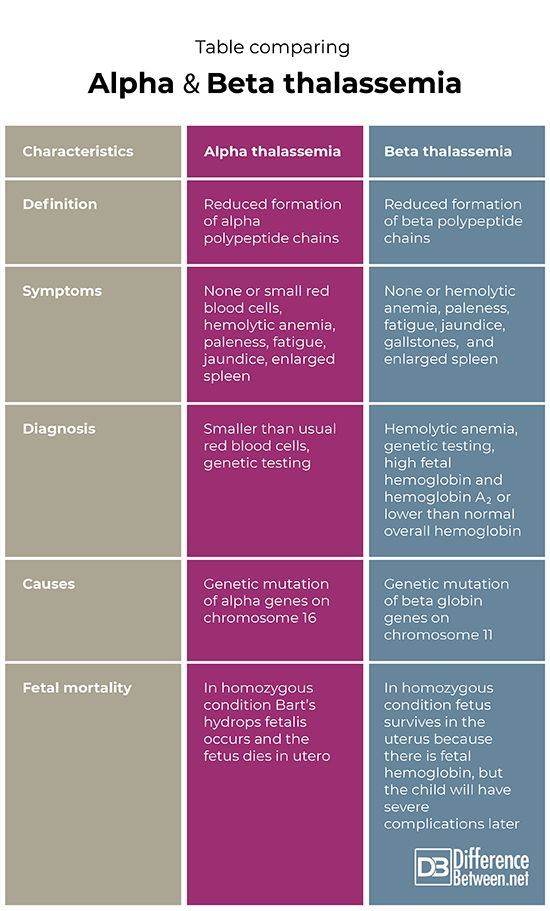 Alpha thalassemia and beta thalassemia – Artofit