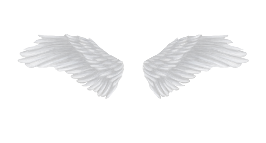 White angel wings PNG | Wings png, Angel wings png, Angel wings images