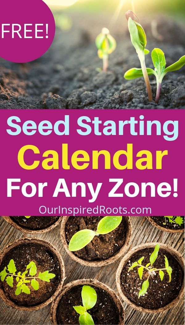 Seed Starting Planner (Know Exactly When to Plant!) | Planting seeds ...