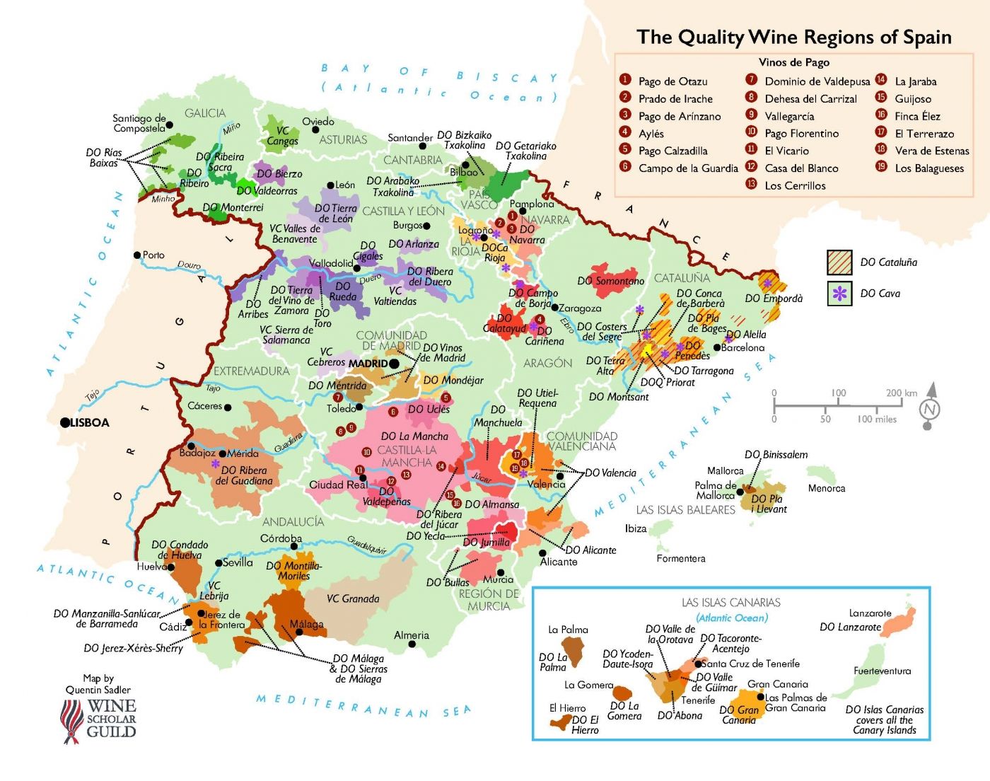 Spain Wine Regions Map | Wine map, Spanish wine, Wine region map