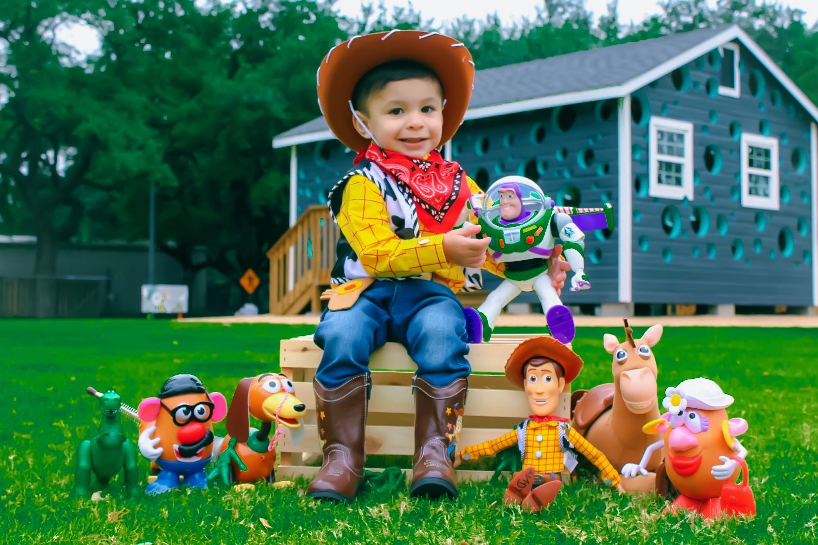 Woody Birthday, 2nd Birthday Party For Boys, Birthday Toys, Toy Story ...