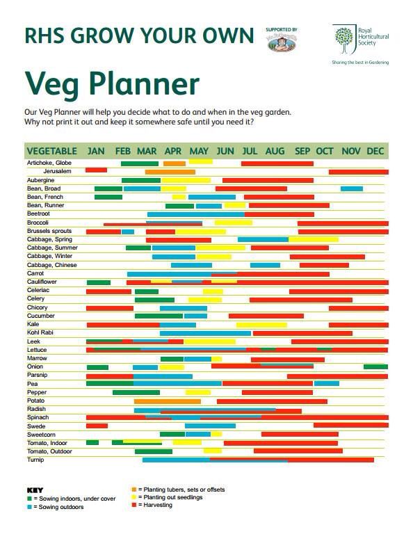 Veg Planner. | Veg garden, When to plant vegetables, Garden yard ideas