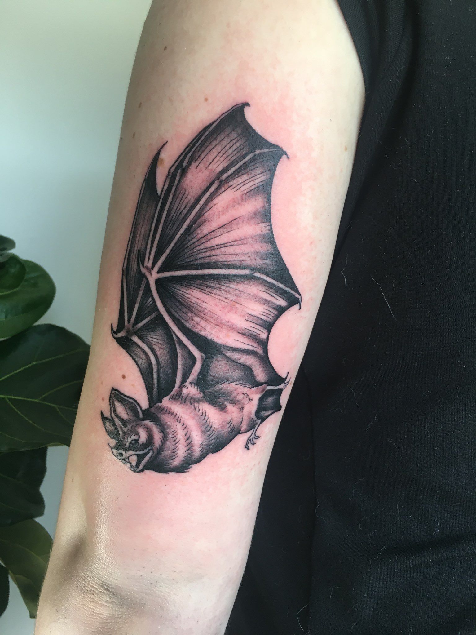 100 Sophisticated Bat Tattoos Most Modern Ideas  The Trend Scout