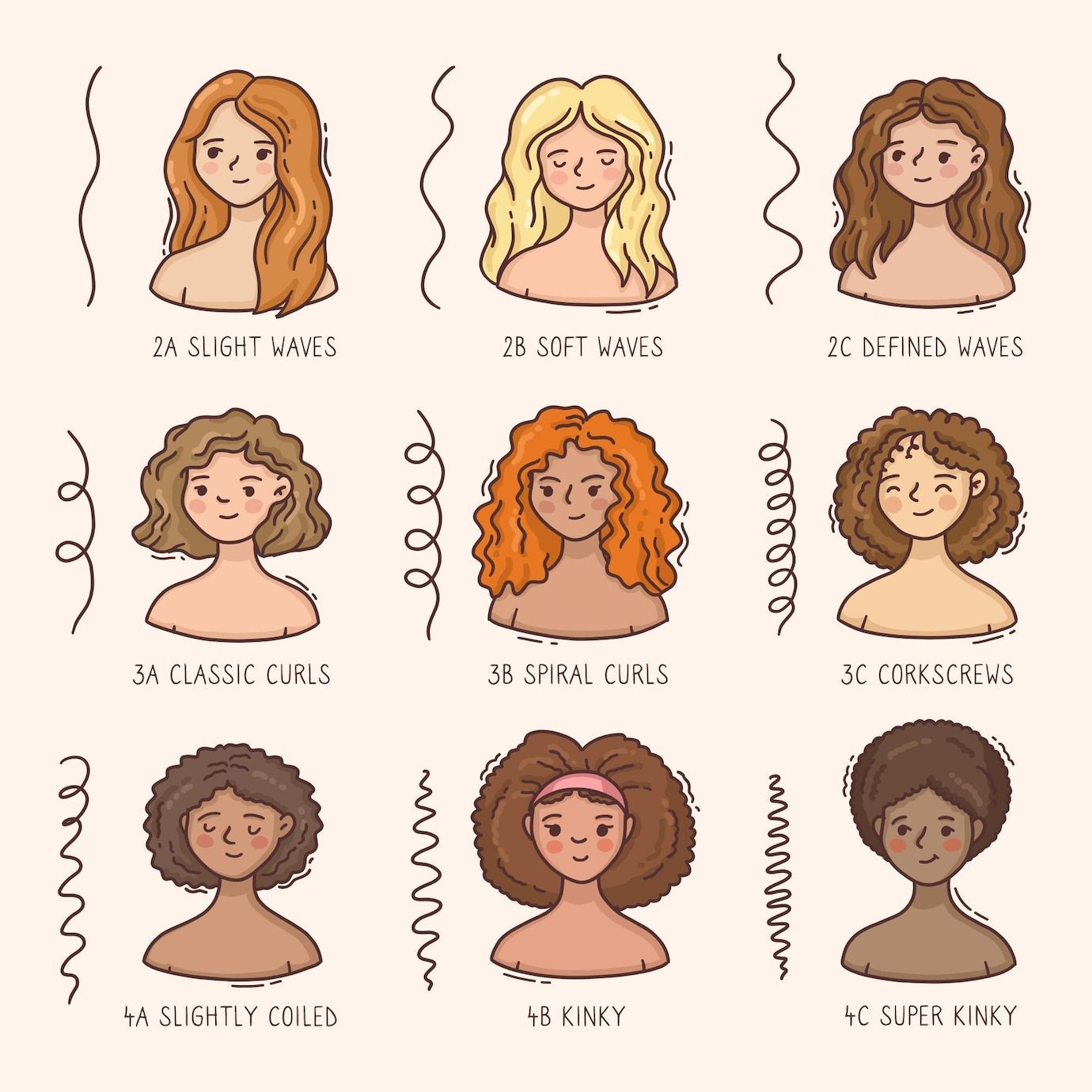 Free Vector | Curly hair types | Tipos de cabelos cacheados, Desenho de ...