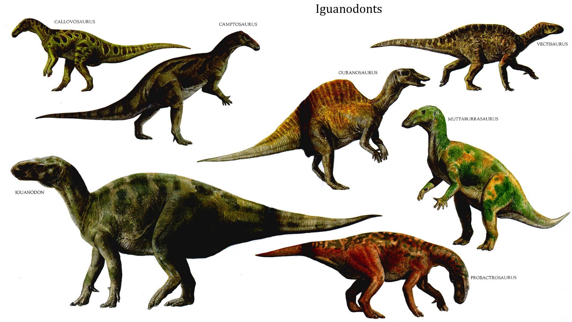 dinosaurs - Google Search Dinosaur Images, Dinosaur Art, Wallpaper ...